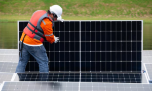 Affordable Solar Panel Installation in Ernakulam